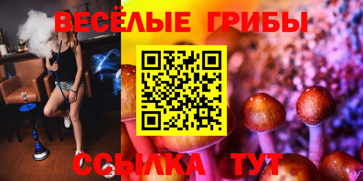 Галлюциногенные грибы Psilocybe Сафоново