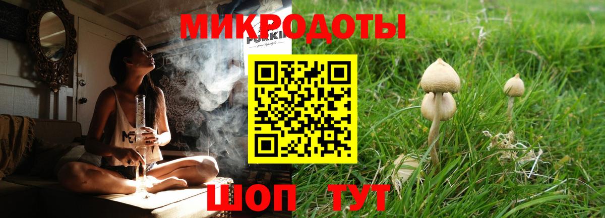 Псилоцибиновые грибы Psilocybe  Вход с VPN  Сафоново 